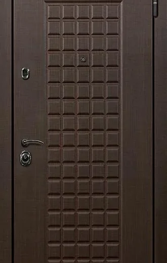 product-metallicheskaia-dver-v-dom-no28-14e83fb7fa00.webp