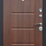 product-metallicheskaia-dver-v-dom-no30-8f70e2393314.webp