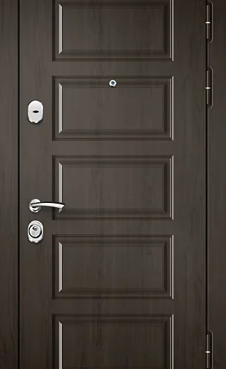 product-metallicheskaia-dver-v-dom-no36-ea1848472b6d.webp