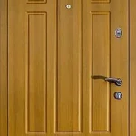 product-metallicheskaia-dver-v-dom-no38-65e65f6047b7.webp