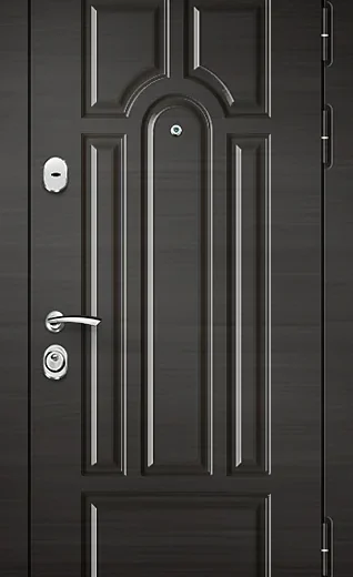 product-metallicheskaia-dver-v-dom-no38-ddd8cab886ab.webp