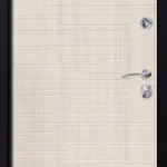 product-metallicheskaia-dver-v-dom-no43-b581fee69495.webp