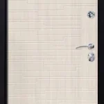 product-metallicheskaia-dver-v-dom-no43-e7cbbf8523c7.webp