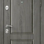 product-metallicheskaia-dver-v-dom-no50-76703865531a.webp