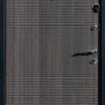 product-metallicheskaia-dver-v-dom-no50-f5f76b450240.webp