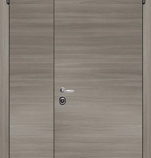 product-metallicheskaia-dvukhstvorchataia-dver-no2-f249a513ae4a.webp